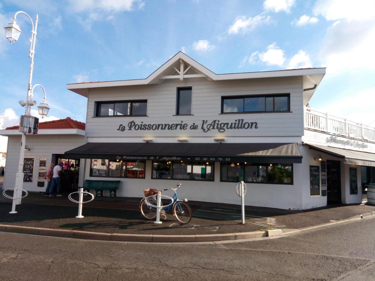 L' Albatros Daire Arcachon Dış mekan fotoğraf