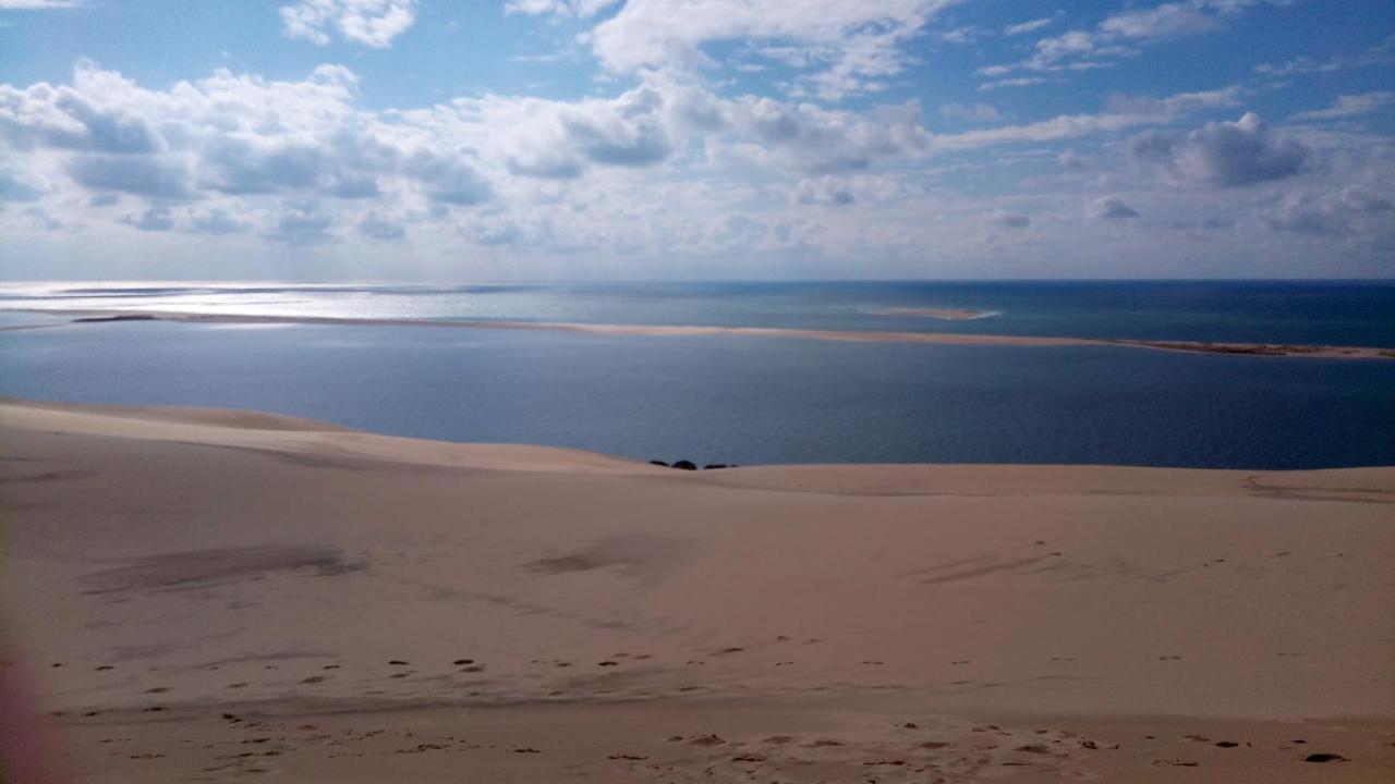 L' Albatros Daire Arcachon Dış mekan fotoğraf